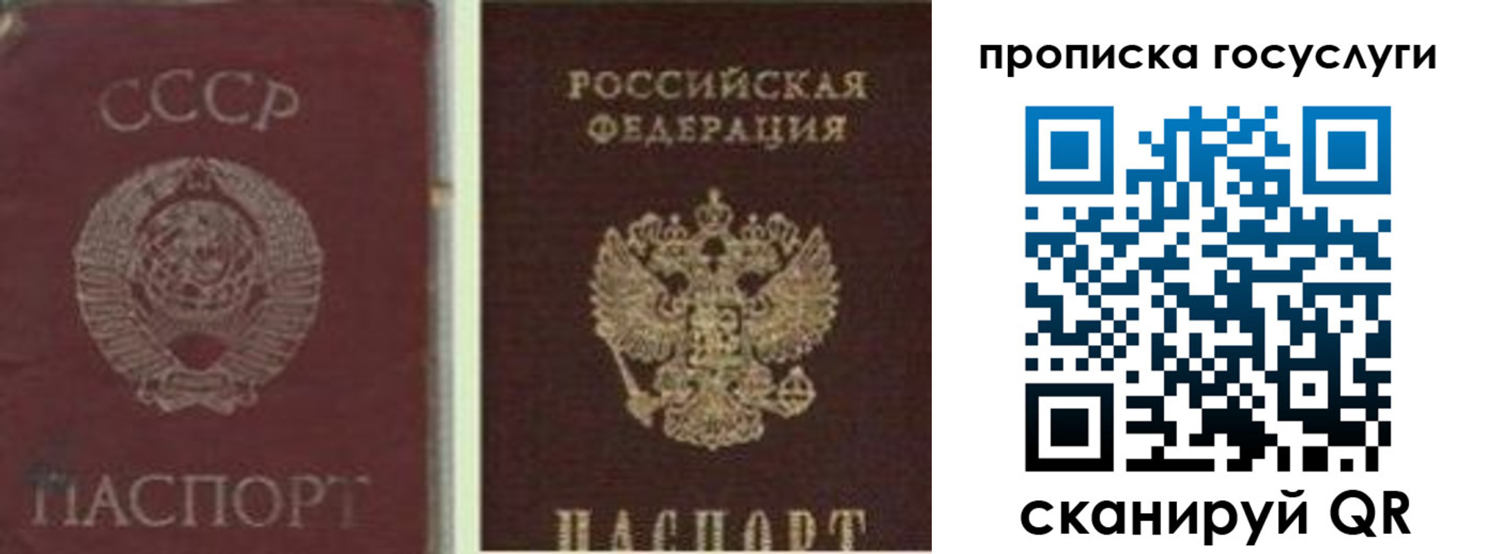 временная регистрация 2025 в Псковской области